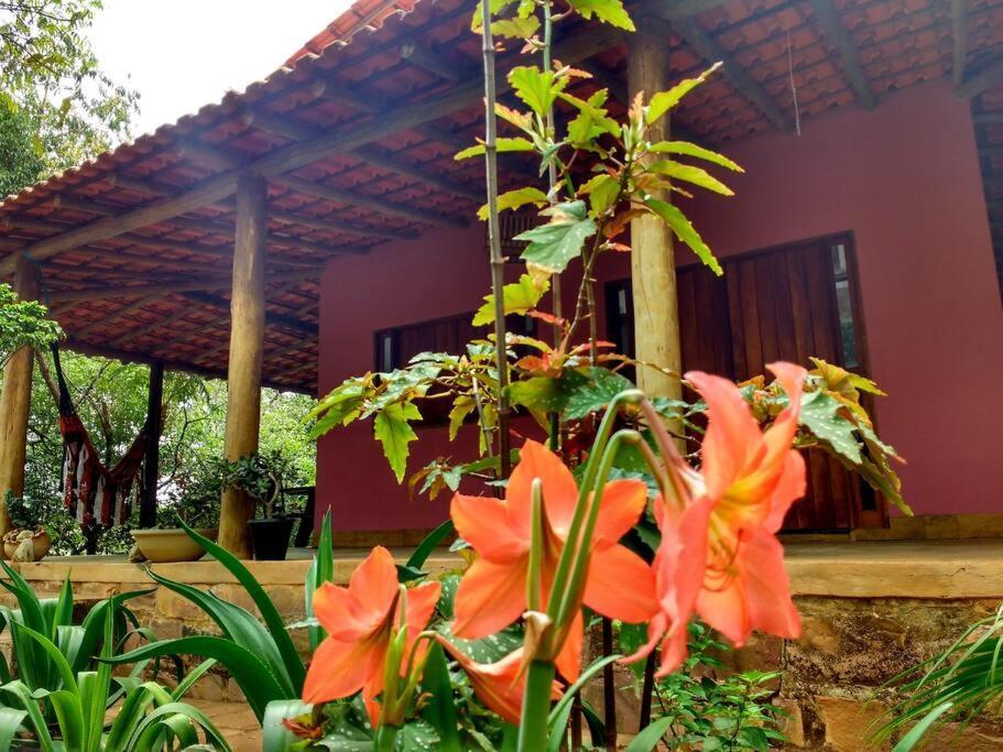 Casa Rosa Cha Em Holiday home